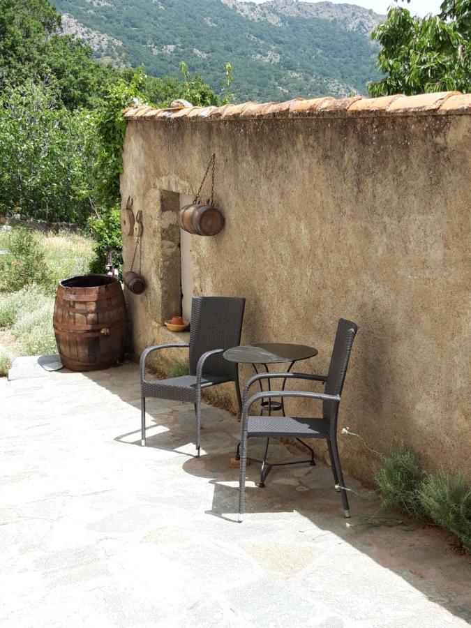 Bed and Breakfast Casa Franceschi Pioggiola Exteriér fotografie